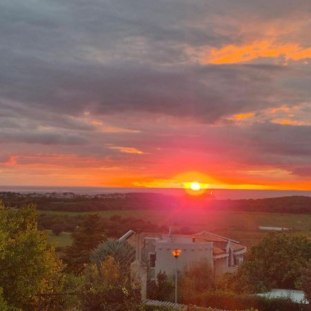 Apartman Dobrec Poreč Zewnętrze zdjęcie
